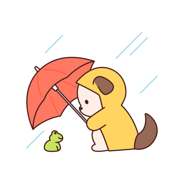 дождливый день - cartoon umbrella dog care stock illustrations