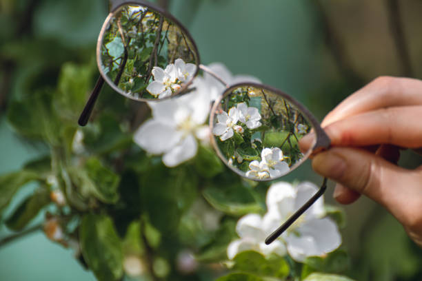 istock Looking in myopia glasses on garden in focus 1499696334