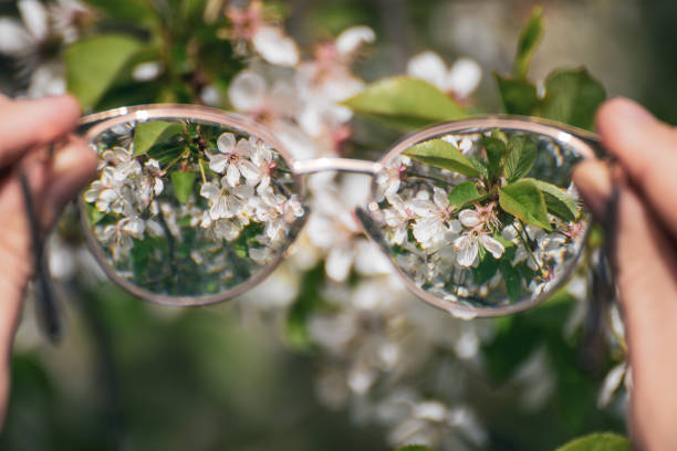 istock Looking in myopia glasses on flowers in focus 1499696351