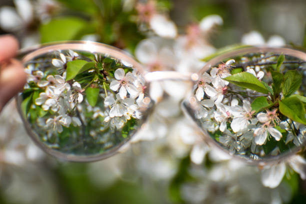 istock Looking in myopia glasses on flowers in focus 1499696359