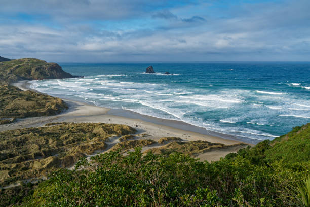 istock Looking east over Sandfly Bay. Otago Peninsula, 1499697857
