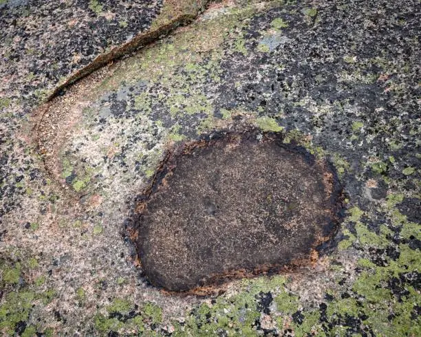 This image depicts a rocky surface with patches of moss, cracks, and small holes.
