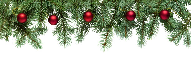 istock Christmas tree branches with red balls isolated on white background, border 1499700431