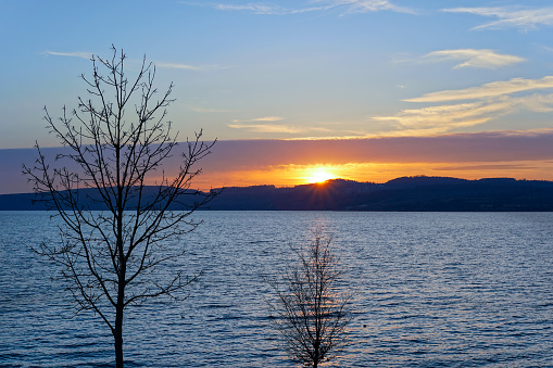Sunset over a lake with bare trees in the front