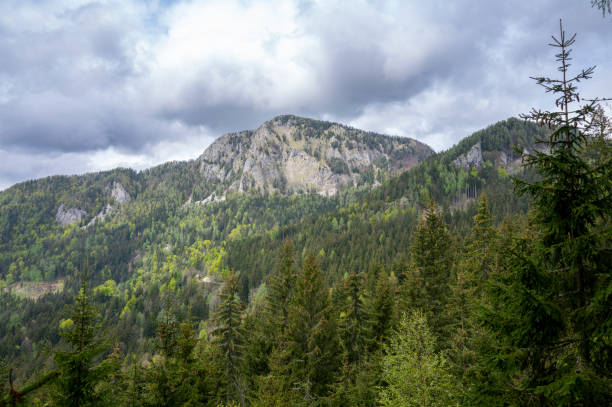 istock Zgornje Jezersko valley view during springtime 1499702359