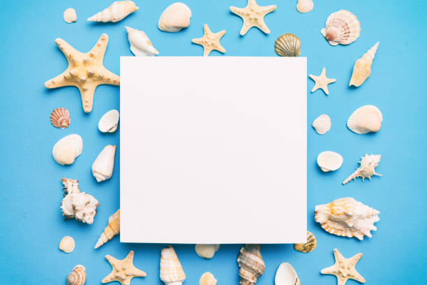 istock Summer time concept with blank greeting card and blank white paper on colored background. Seashells from ocean shore in the shape of frame separated with space for text top view 1499708047