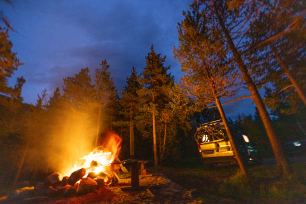 istock Young woman making fire at campground at night, van life 1499709017