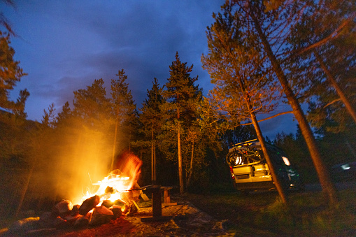 She makes a camp fire in nature, pine tree forest, freedom in the wild. Real camping concept