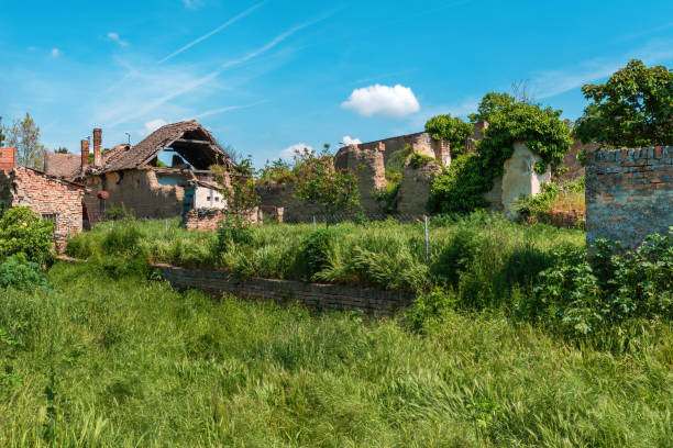 istock Old ruined houses with back yards in grass 1499711618