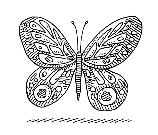 Vector illustration of Generic Butterfly Drawing