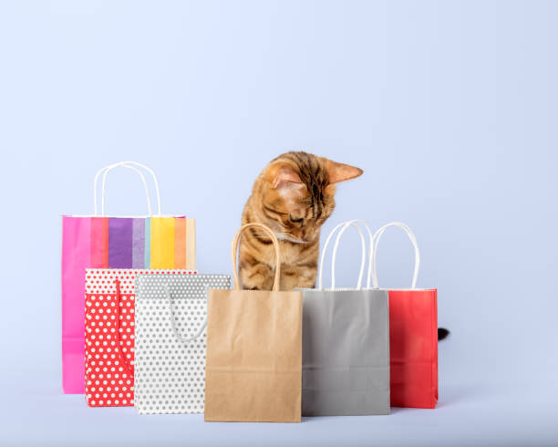 istock Ginger cat with shopping bags on a colored background. 1499713167