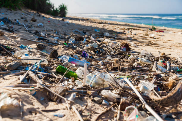 istock Tropical ocean beach and plastic trash in Bali island. Pollution by plastic rubbish on coastline 1499715843