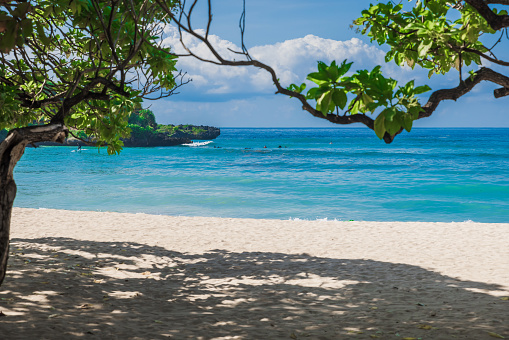Tropical holiday banner of Luxury beach with tropical trees, sand and quiet blue ocean.