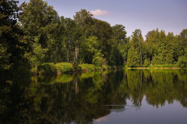 istock Tranquil lake is situated in a lush wooded environment 1499717434