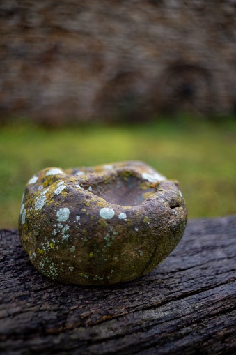 A close-up of a green moss-covered rock on a weathered piece of wood