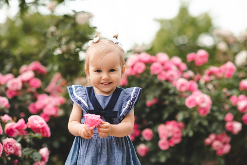 Smiling kid girl 2-3 year old holding rose flower playing in garden with blooming bushes outdoor. Look at camera. Summer season. Childhood.