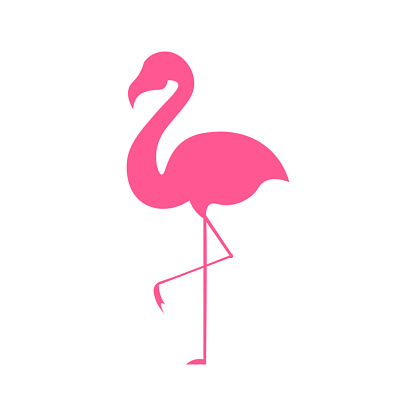 Pink flamingo isolated on white background, vector illustration.