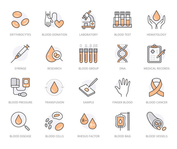 ilustraciones, imágenes clip art, dibujos animados e iconos de stock de conjunto de iconos de línea plana de hematología. células sanguíneas, vasos, esfigmomanómetros, pruebas de adn, ilustraciones de vectores de microscopio bioquímico. esbozar las señales para el día del donante. color naranja. trazo editable - laboratorio médico