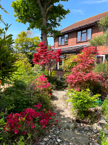 Stock photo showing a large, modern, detached red-brick house that is part of a small housing estate. The house is pictured from the rear, showing its attractive back garden, stepping stones pathway, conservatory and collection of Japanese maple trees.