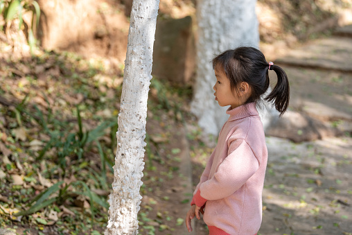 A Chinese little girl is holding a tree