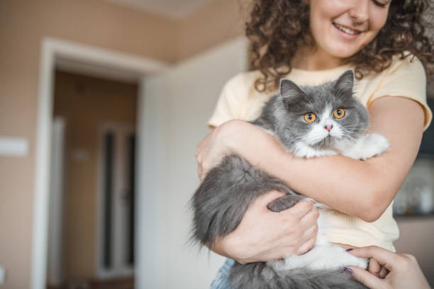istock A beautiful woman is holding her cat in her hands 1499729357