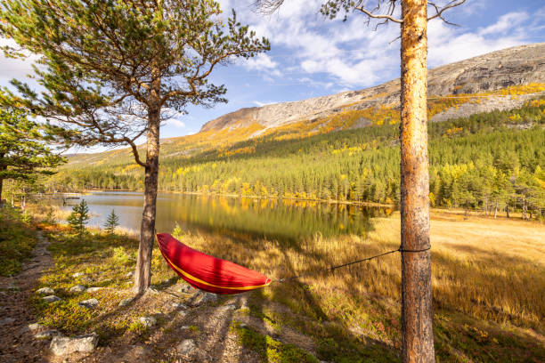 istock Hammock by the lakeshore, camping trip 1499730521