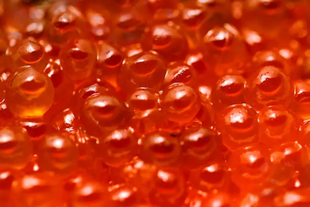 Close up macro photograph of Japanese seafuud, Salmon roe marinated in soy sauce.