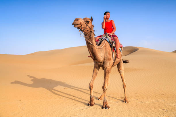 istock Young female tourist using mobile on a camel, Rajasthan, India 1499733291