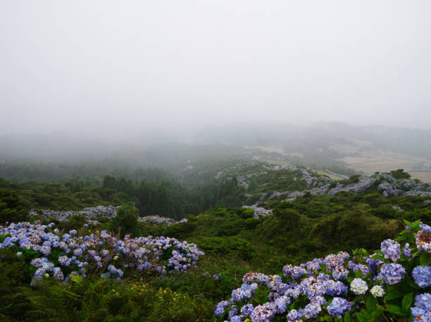 Azores Landscape stock photo