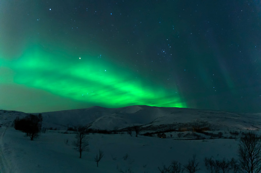 aurora borealis northern light in tromso, norway