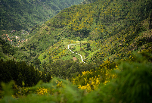 Beautiful scenery of green lush mountains in Madeira