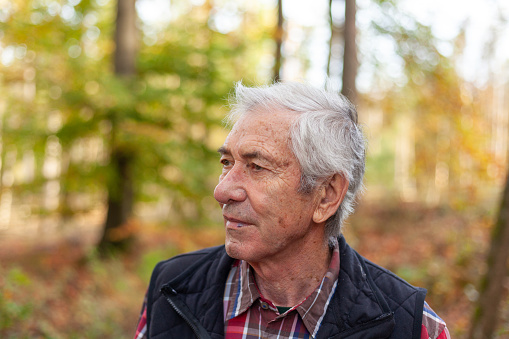 Portrait of a senior man standing in the forest on a sunny day