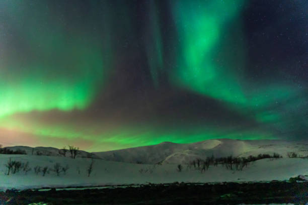 istock Aurora Borealis, Northern Lights in Tromso, Norway 1499738345