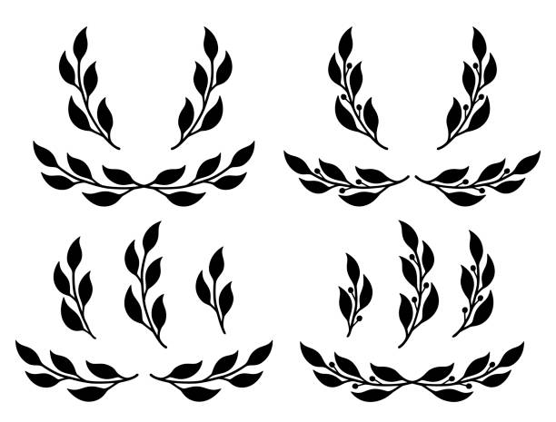 Laurel olive branches and wreath, divider, border, frame black hand drawn olive laurel branches with leaves, wreath and divider olive branch stock illustrations