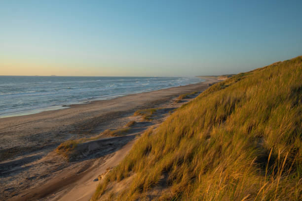 istock Scenic view of beach in Denmark 1499738862