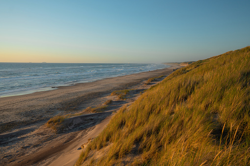 Scenic view of beach and marram grass covered dunes  in Denmark