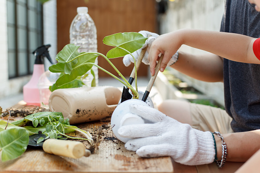 Happy cheerful Asian father and son using a used plastic bottle to plant a decorative tree, father teaches his son to recycle a plastic bottle into planting pot.