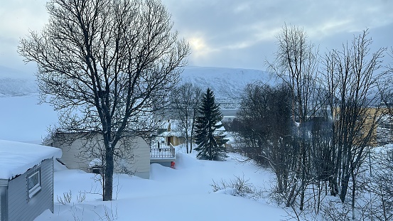 snowy landscape in Tromso, Norway