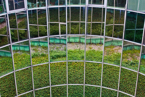 istock mirrored wall reflecting the garden 1499742635