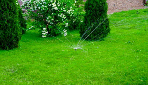 istock Sammer in the garden. Automatic watering watering green lawn 1499743540