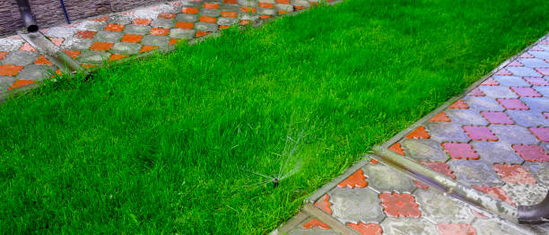 istock Sammer in the garden. Automatic watering watering green lawn 1499745459