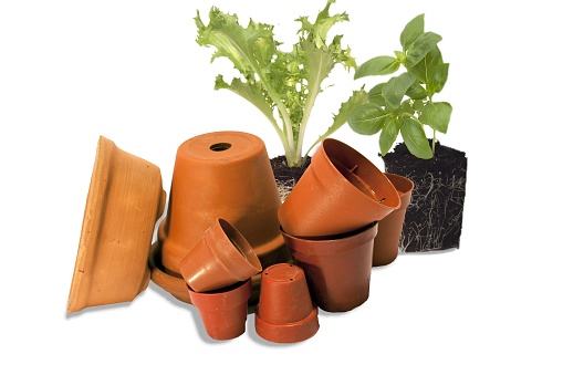 A closeup of pots on white background