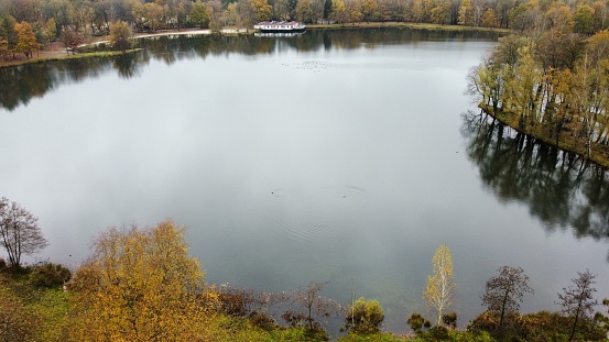 An aerial shot of a tranquil lake surrounded by trees in autumn