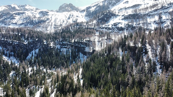 An aerial view of a snowy mountain range covered with a forest