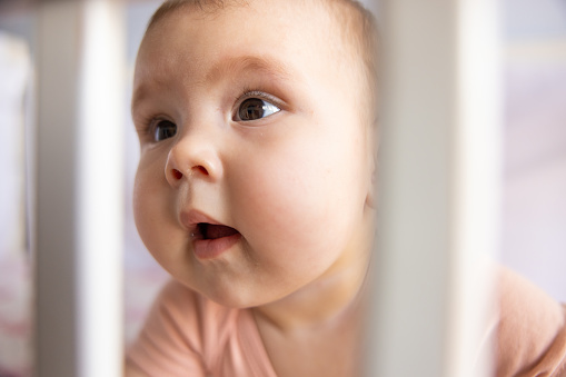 Curious and adorable Caucasian baby girl, looking through baby crib, while lying on front