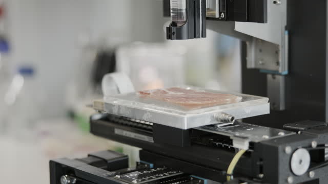 Scientist setting up Bio-ink printer