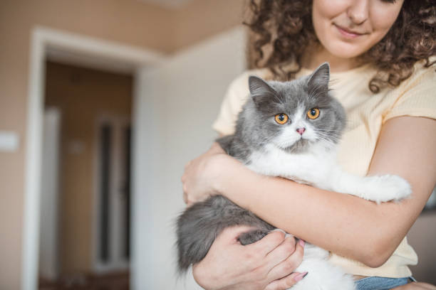 istock Smiling woman is holding her cat in her hands 1499749461