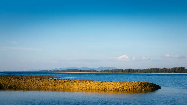 istock sky and blue sea at Phuket 1499751993