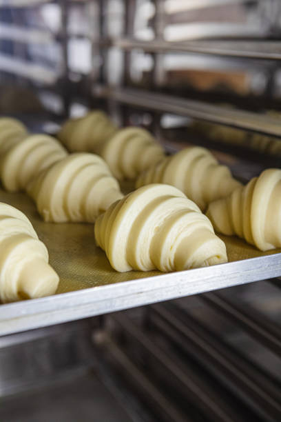 istock Pre-baked proofed croissant dough 1499754053
