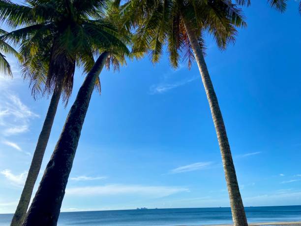 istock Thung Wua Laen Beach, Chumphon, Thailand 1499754259